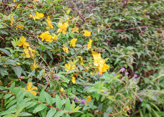 Dom wakacyjny Hillcrest